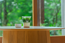 27_a-cup-and-the-green-outside.webp